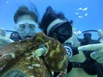 Hawaii Scuba divng 43