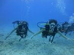 Hawaii Scuba divng 51