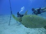 Hawaii Scuba divng 51