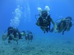 Hawaii Scuba divng 63