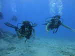 Hawaii Scuba divng 65