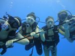 Hawaii Scuba divng 70