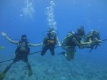 Hawaii Scuba divng 71