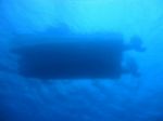 Hawaii Scuba divng 75