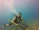 Hawaii Scuba divng 10