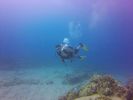 Hawaii Scuba divng 12