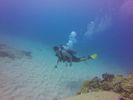 Hawaii Scuba divng 15