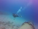 Hawaii Scuba divng 17