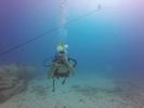 Hawaii Scuba divng 02