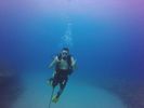 Hawaii Scuba divng 37