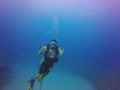 Hawaii Scuba divng 38