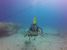 Hawaii Scuba divng 03