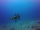 Hawaii Scuba divng 41