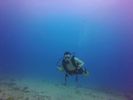 Hawaii Scuba divng 43