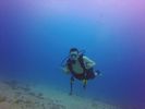 Hawaii Scuba divng 44