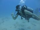 Hawaii Scuba divng 10