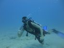 Hawaii Scuba divng 12