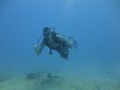 Hawaii Scuba divng 15