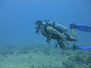 Hawaii Scuba divng 21