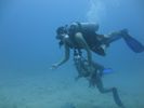 Hawaii Scuba divng 23