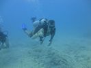 Hawaii Scuba divng 26