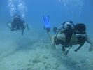 Hawaii Scuba divng 27