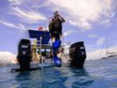 Hawaii Scuba divng 33