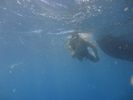 Hawaii Scuba divng 34