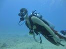 Hawaii Scuba divng 43