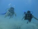 Hawaii Scuba divng 46