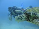 Hawaii Scuba divng 53