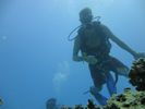 Hawaii Scuba divng 61