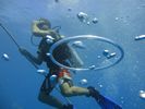 Hawaii Scuba divng 79