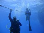 Hawaii Scuba divng 13