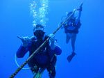 Hawaii Scuba divng 14