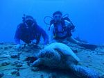 Hawaii Scuba divng 22