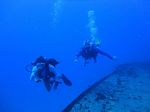 Hawaii Scuba divng 31