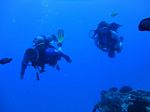 Hawaii Scuba divng 42