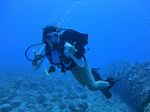 Hawaii Scuba divng 51