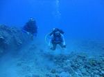 Hawaii Scuba divng 53