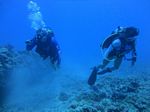 Hawaii Scuba divng 54