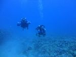 Hawaii Scuba divng 57