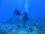 Hawaii Scuba divng 58