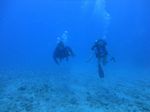 Hawaii Scuba divng 61