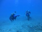 Hawaii Scuba divng 63