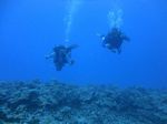 Hawaii Scuba divng 64