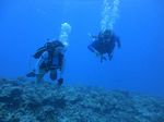 Hawaii Scuba divng 65