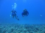 Hawaii Scuba divng 68