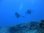 Hawaii Scuba divng 70