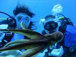 Hawaii Scuba divng 76